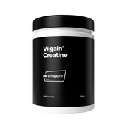 Vilgain Creatine Creapure 500g