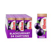 Ribena 24x250ml Blackcurrant