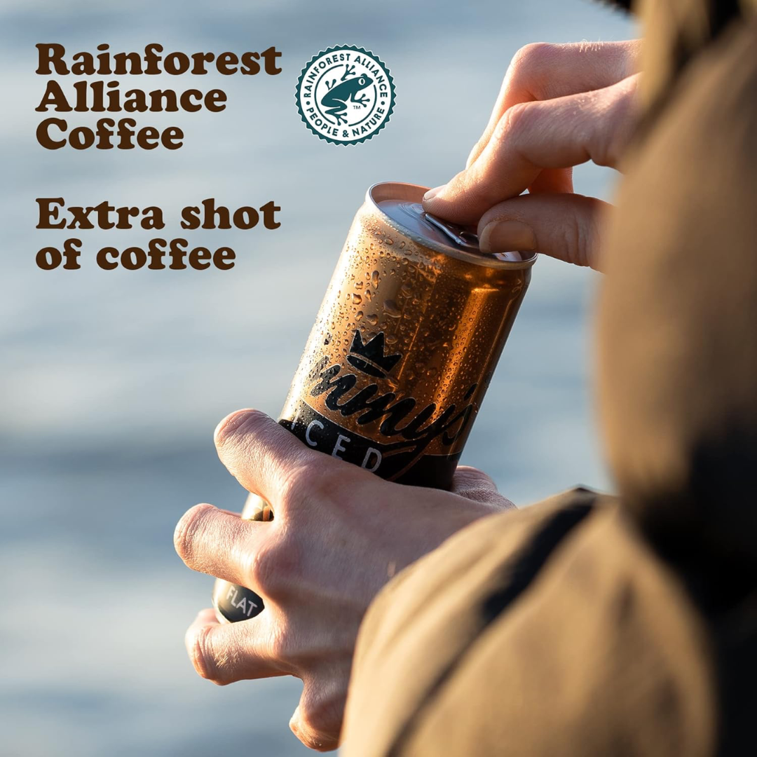 Jimmy's Iced Coffee 12x250ml Strong