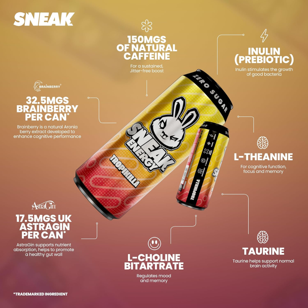 SNEAK Energy 12x500ml Tropikilla