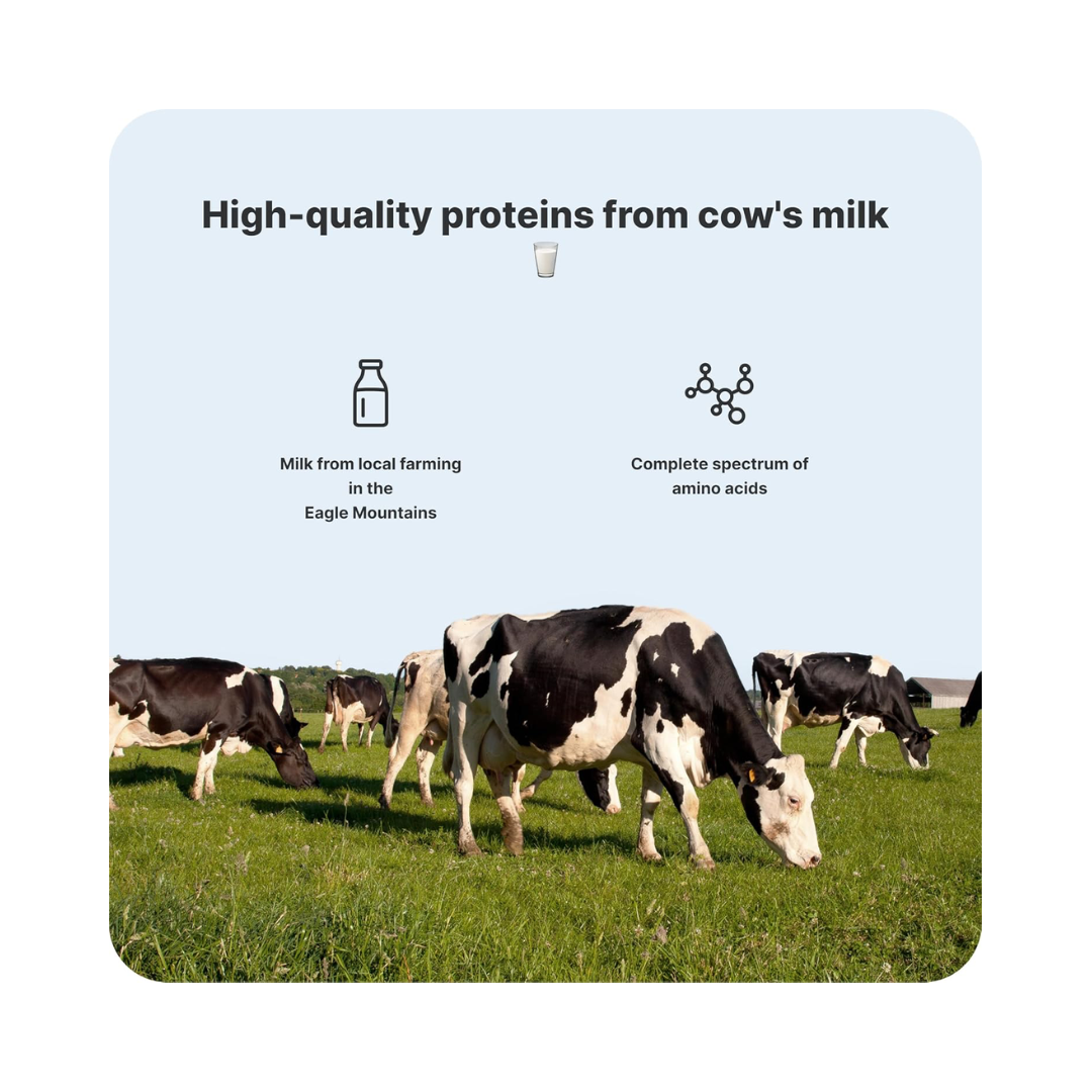 Vilgain Protein Milkshake 12x330ml Cocoa