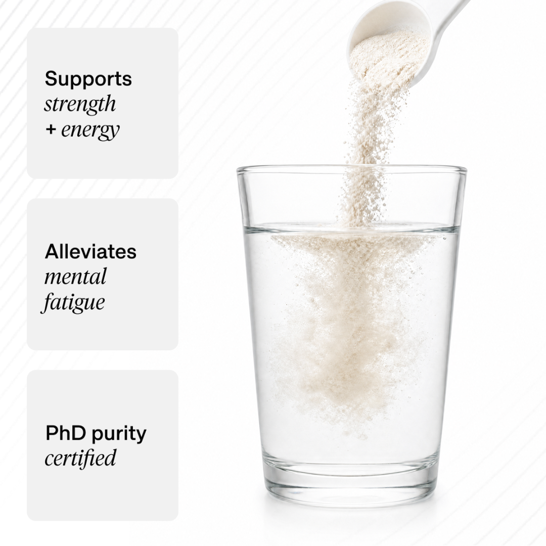 PhD Nutrition Micronised Creatine 250g