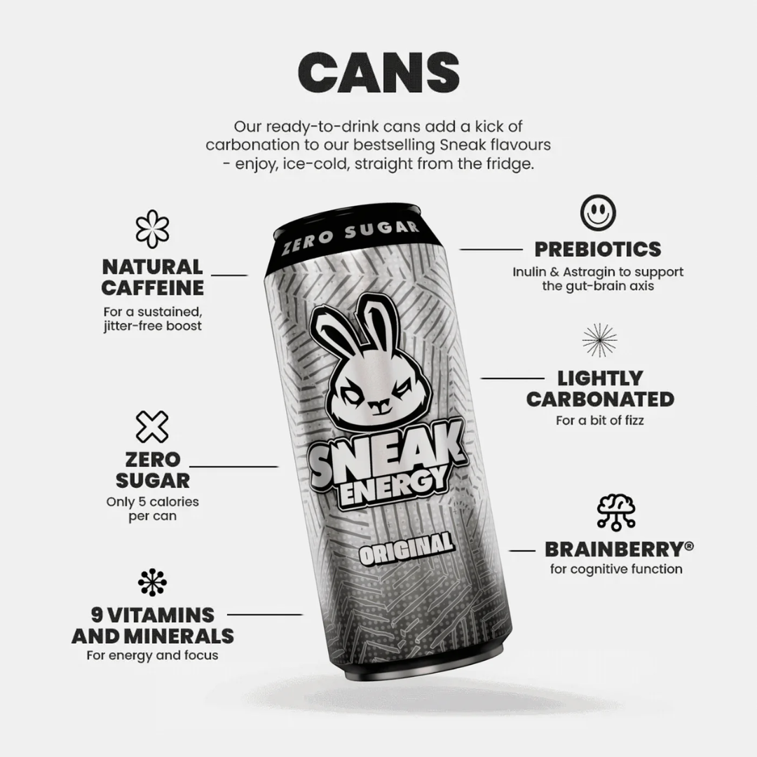 SNEAK Energy 12x500ml Original