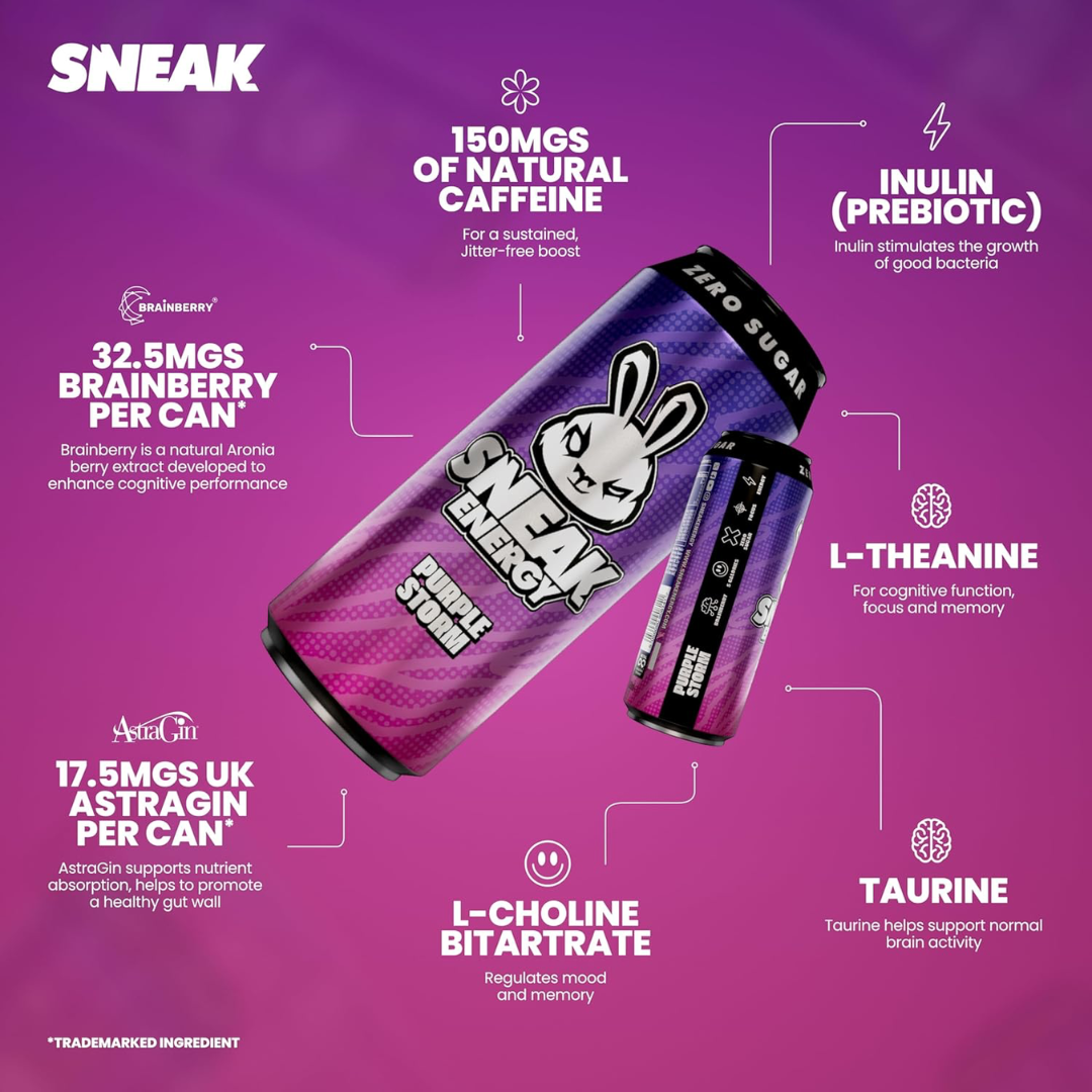 SNEAK Energy 12x500ml Purple Storm