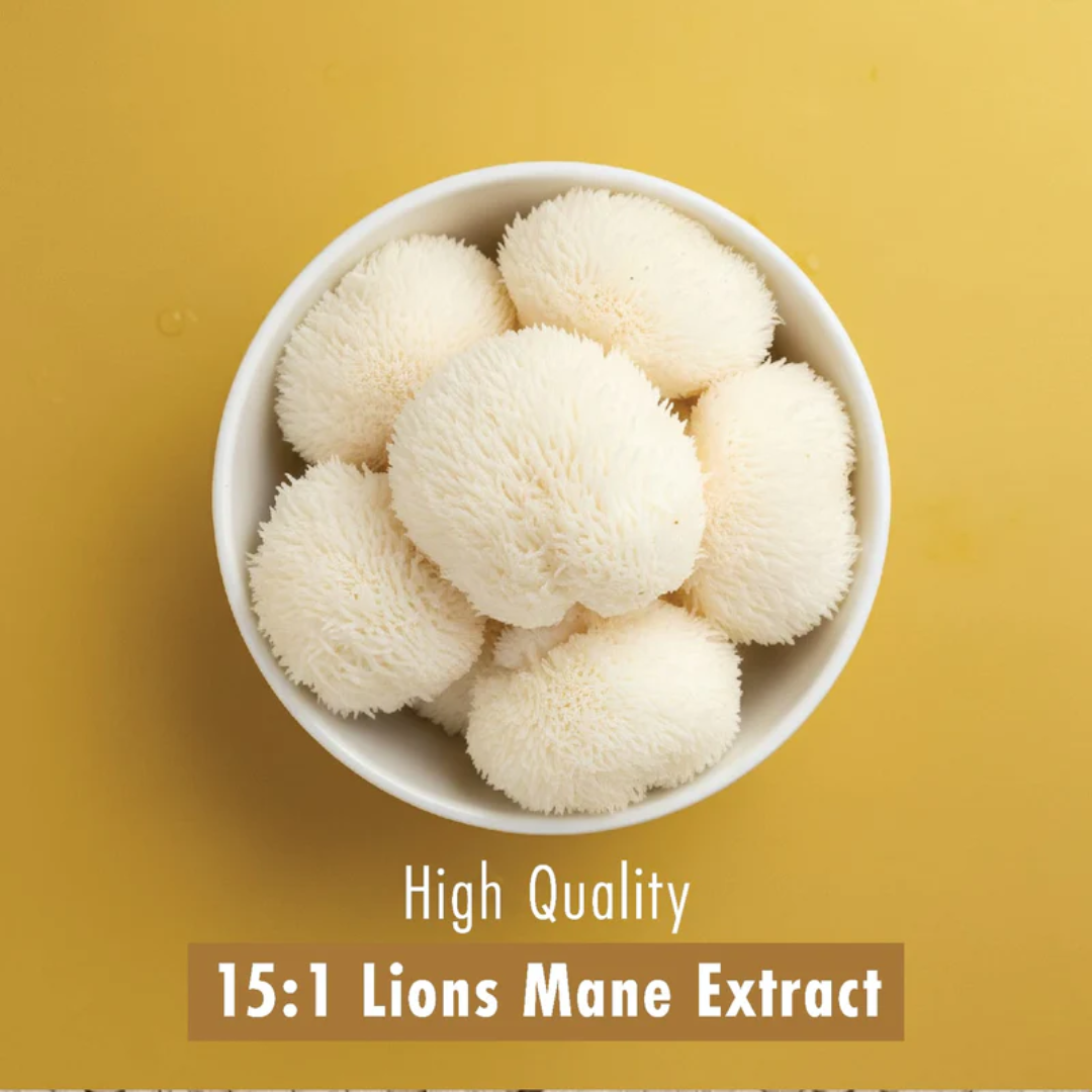 Refined Nutrition Ultra Lions Mane 240 Tabs