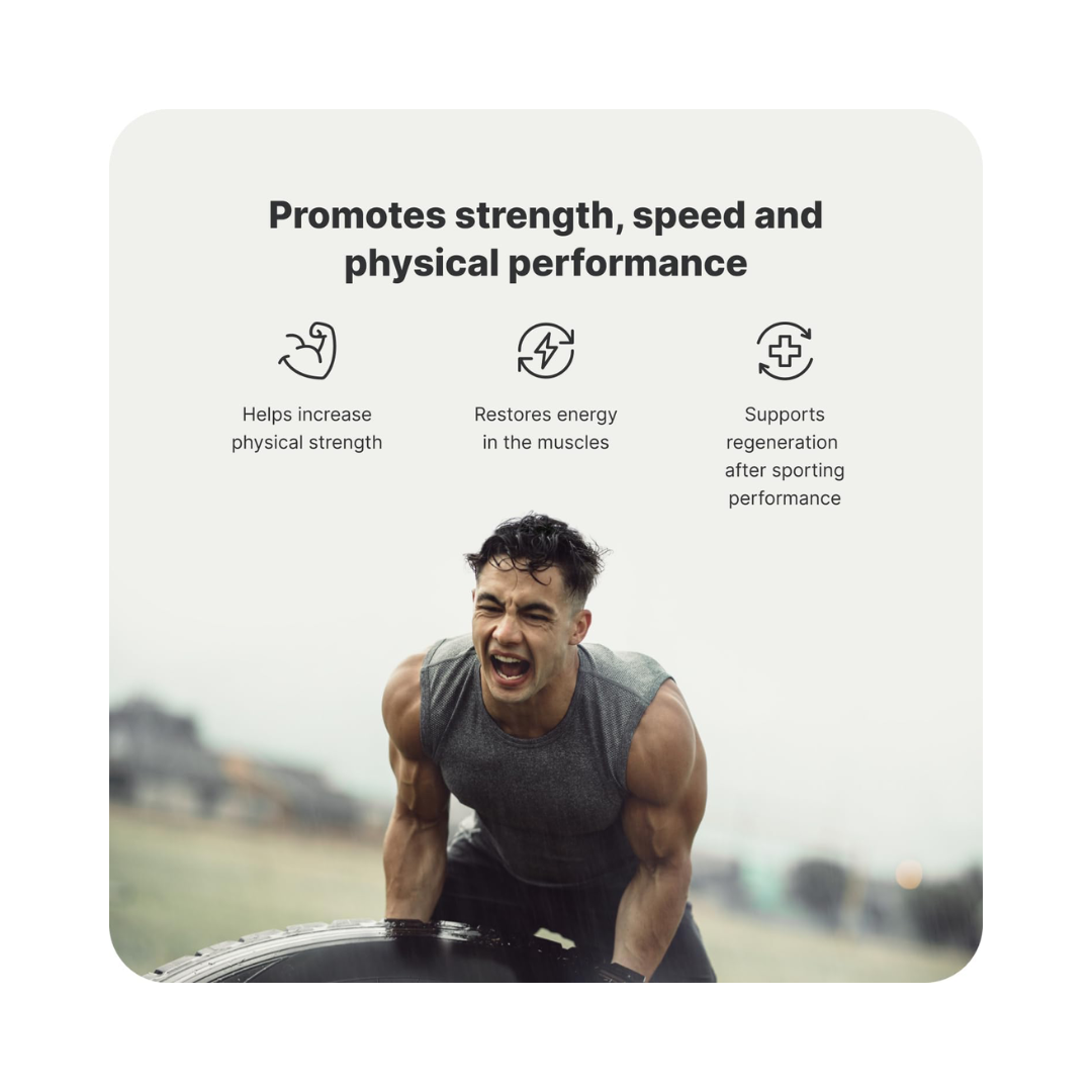 Vilgain Creatine Creapure 300g
