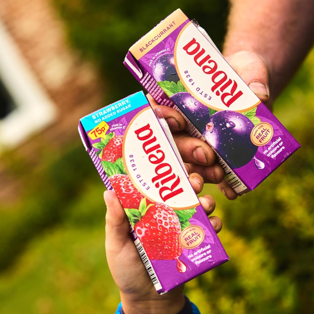 Ribena 24x250ml Blackcurrant