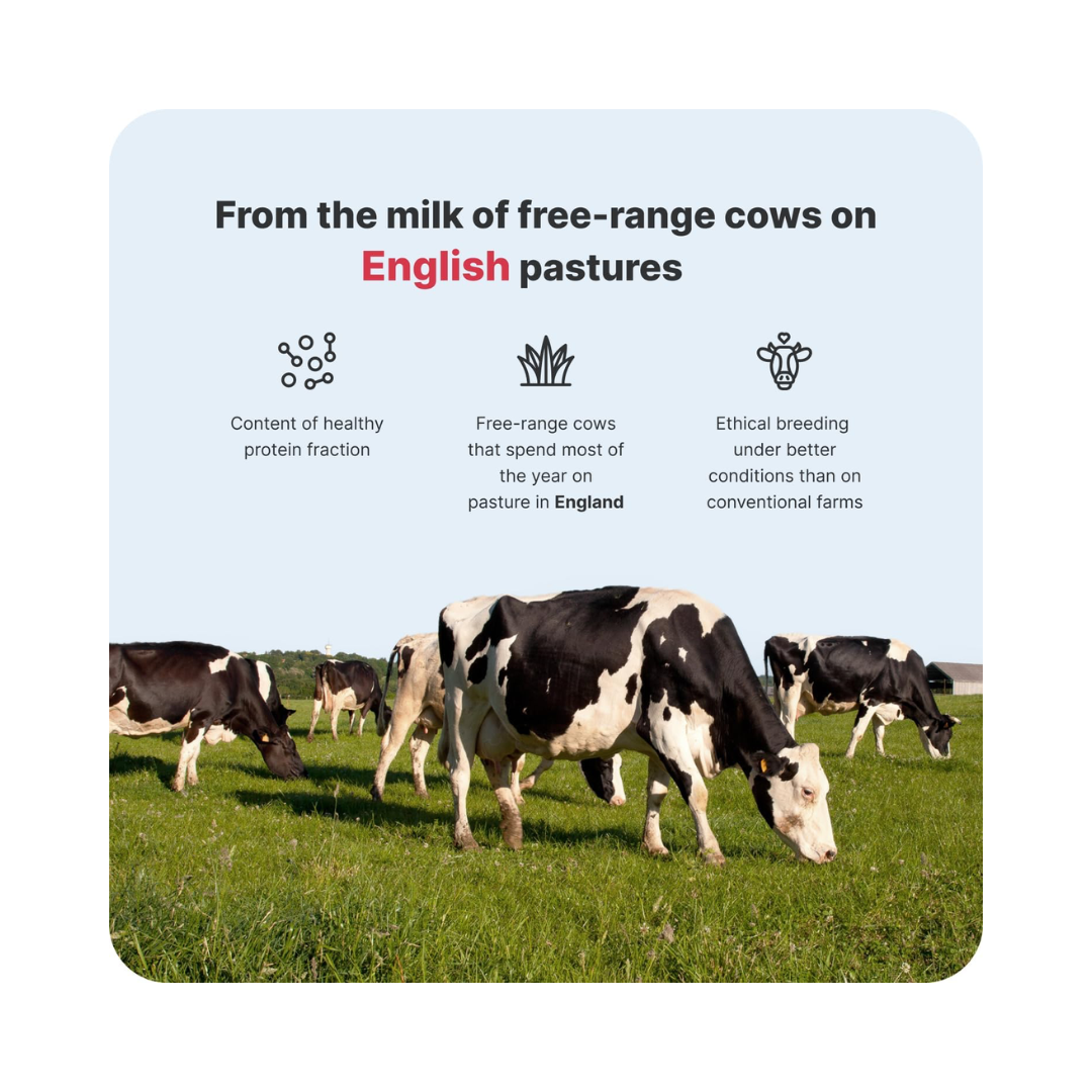 Vilgain Grass-fed Whey Protein 1000g Chocolate