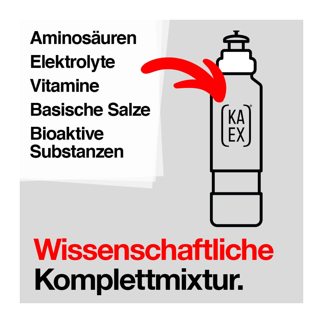 KA-EX GO 12x460ml Grapefruit Lemon