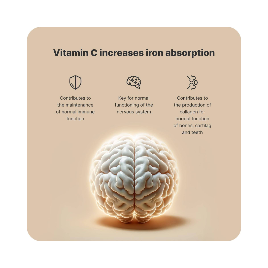 Vilgain Iron + Vitamin C 90 Caps