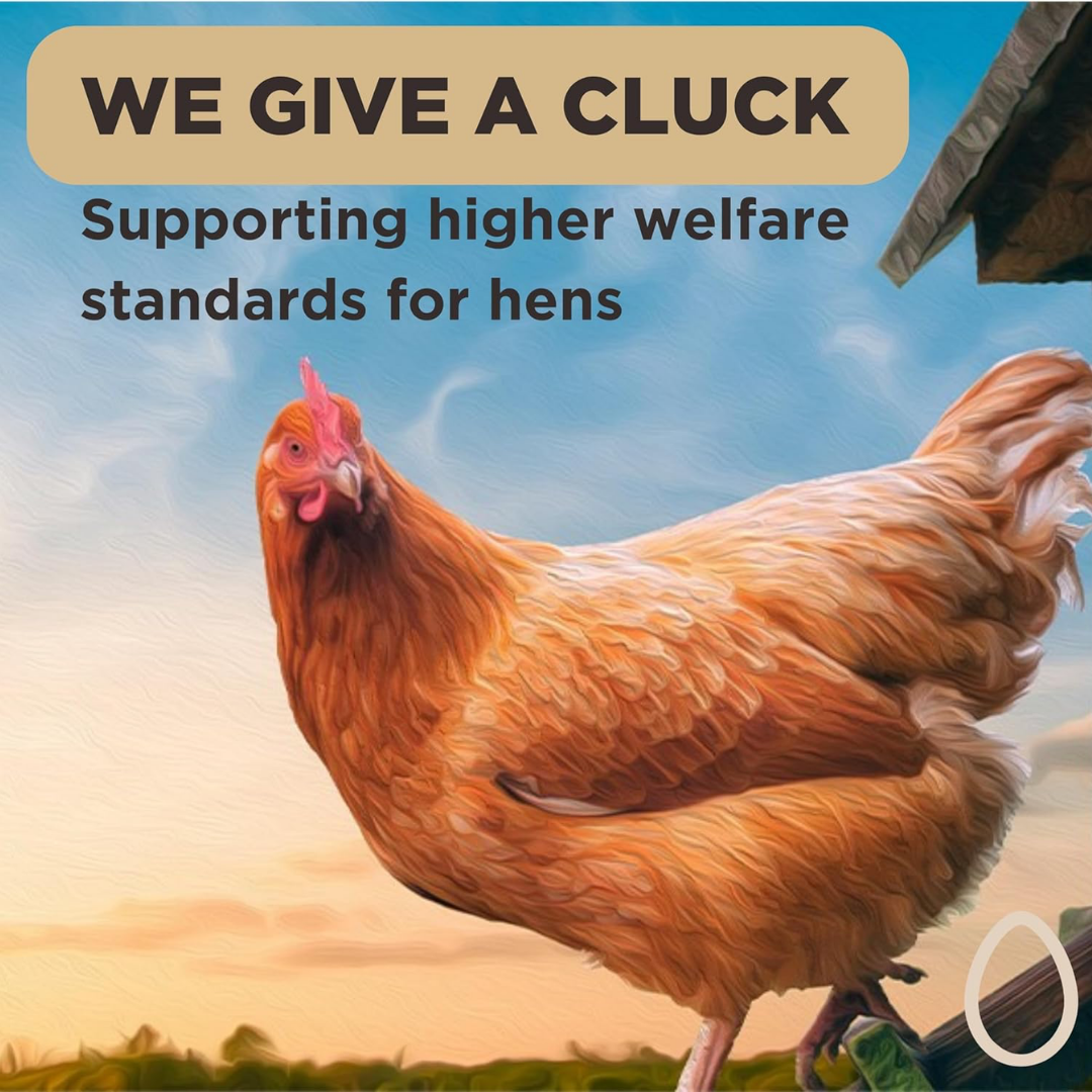 Eazy Egg Liquid Egg Whites 970ml