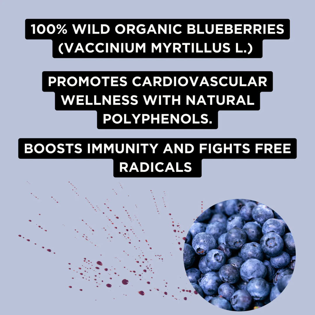 Fighter Shots 12x60ml Pure Wild Blueberry
