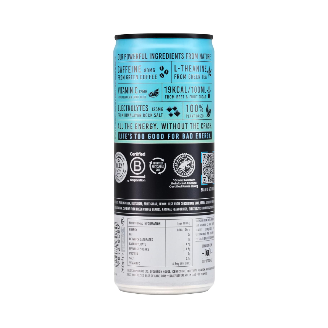 Tenzing Natural Energy 12x250ml Original