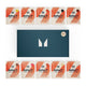 MyProtein Impact Whey Protein Sample Box 10 x 25g Sachet Mix