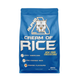 Alpha Neon Cream Of Rice 2kg New York Cheesecake