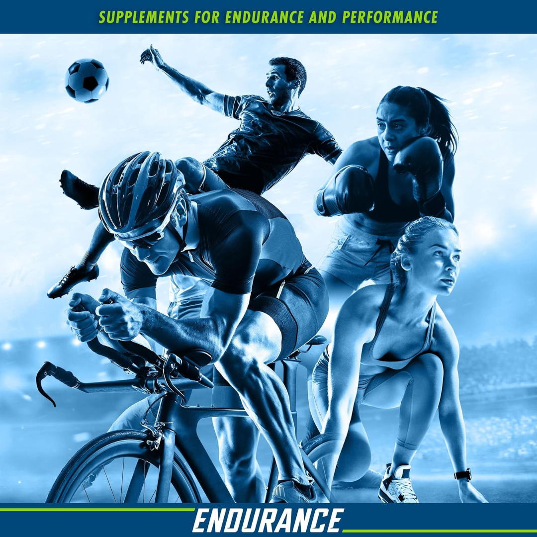 Applied Nutrition Endurance Recovery 1.5kg - Vanilla