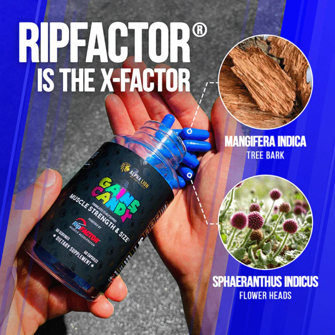 Alpha Lion Gains Candy RipFactor 60 Caps