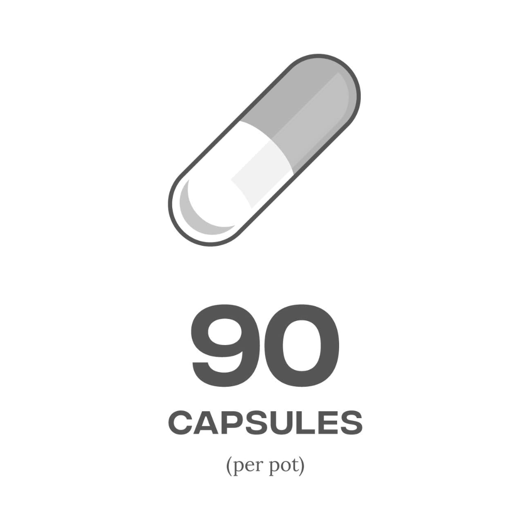 Reflex Nutrition Acetyl-L-Carnitine 90 Caps